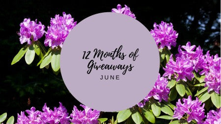 12 Months of Giveaways - June!