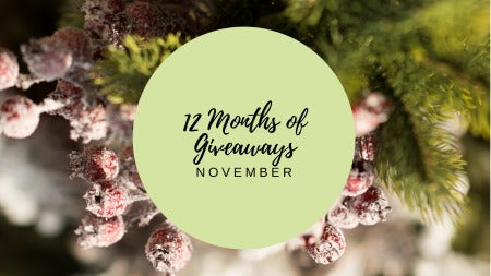 12 Months of Giveaways - November!