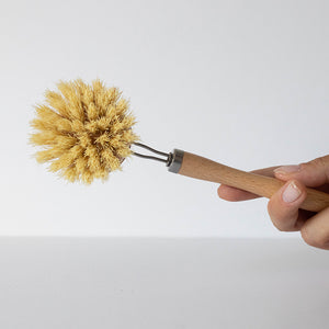 Kitchen Dish Brush